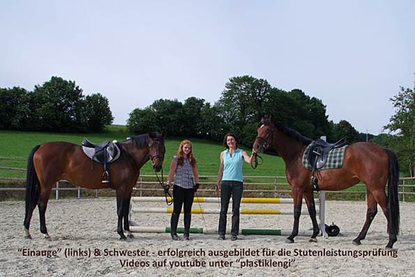 Beschreibung: I:\Eigene WEBS\junge-pferde-2011.07.01\Bilder\IMGP8011.JPG